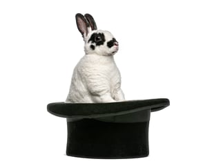 Καπέλο μάγου με κουνελάκι